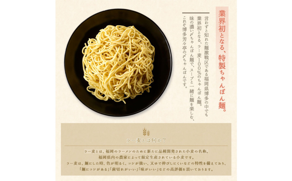 【芳々亭】もつ鍋2～3人前セット（味噌味）