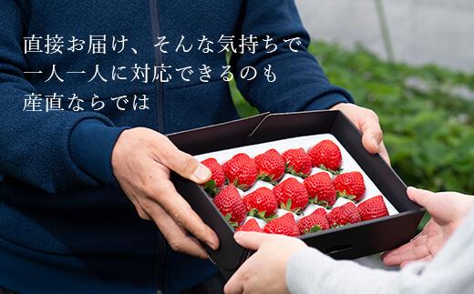 【2026年1月～4月出荷分予約販売】★たっぷり！2倍の量★武下さんちの「完熟あまおう」3Lサイズ 900g入り