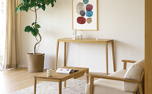 【開梱設置】高野木工 モル 120×40コンソールテーブル ウォルナット【10年保証】