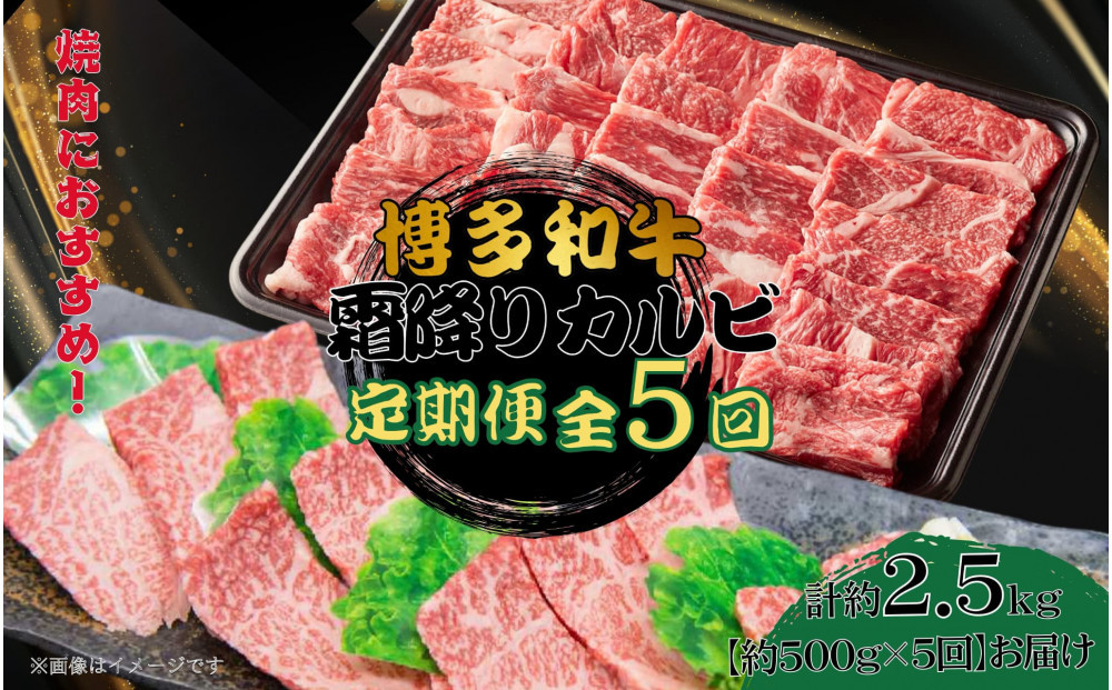 博多和牛 霜降りカルビ 全5回定期便 約500g×5回