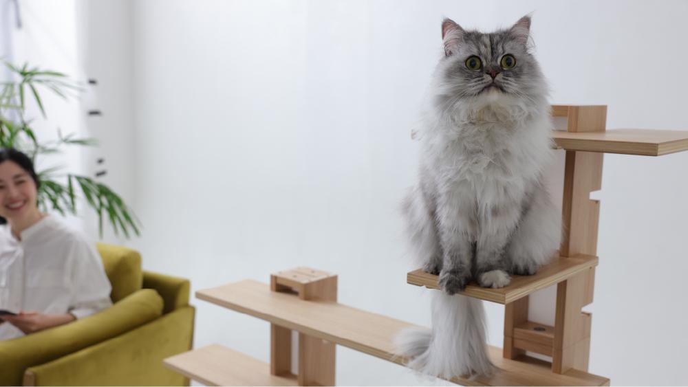 譁ー諡。蠑オ蝙九く繝」繝繝医ち繝ッ繝シ necosuru cat branch縲舌リ繝√Η繝ゥ繝ォ縲