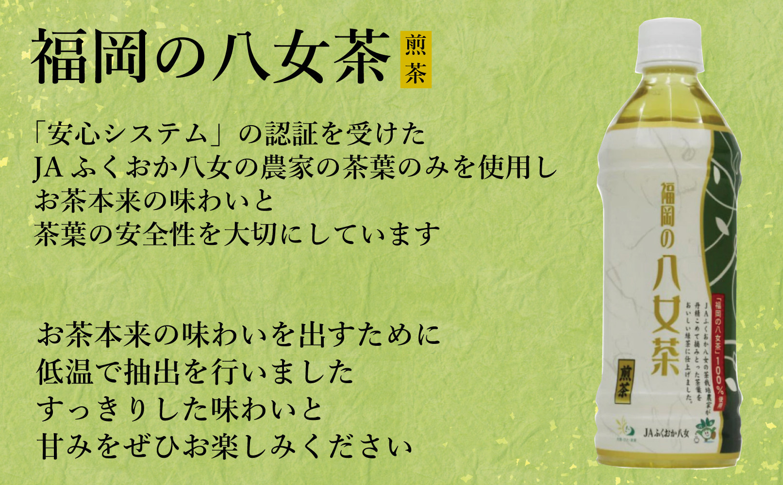 【八女茶】煎茶ペットボトル 500ml×24本