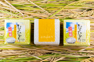 2024年秋収穫分 福岡県大川市産ヒノヒカリ キューブデザイン 3個入り【ギフト包装】 　