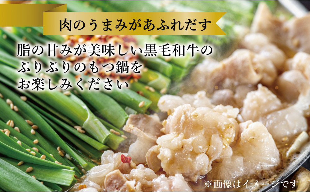 黒毛和牛もつ鍋　白濁 鶏ガラスープ醤油スープ　３〜４人前セット