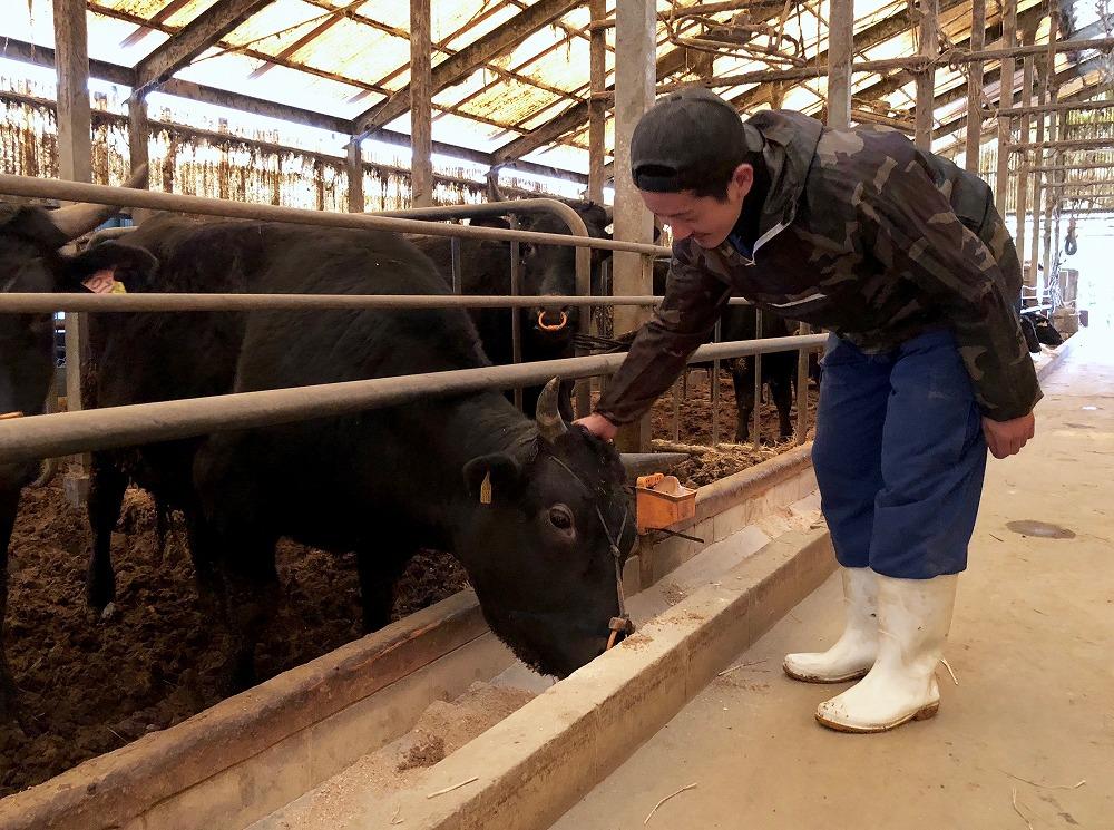 (蜈ィ10蝗槫ョ壽悄萓ソ)縲植5ス4遲臥エ壹大忽螟壼柱迚幄か繝ュ繝シ繧ケ縺縺吝繧 1kg