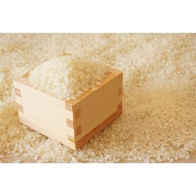 【令和7年産】福岡県産ブランド米「夢つくし」白米 20kg