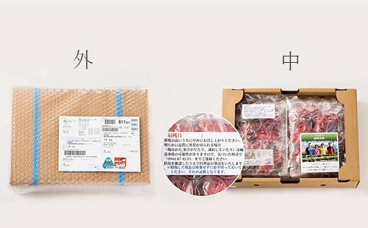 【2027年1月～4月出荷分予約販売】★開けてびっくり★驚きのボリューム完熟あまおう大玉詰め合わせ1200g