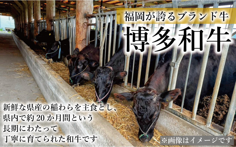 【セット】博多和牛A5ランク サーロインステーキギフトセット 約350g×1枚