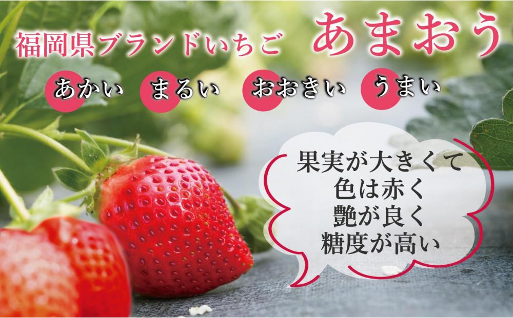 ★先行予約★いちごの王様 福岡県産博多あまおう250g×4パック【2027年2月中旬～3月順次出荷予定】