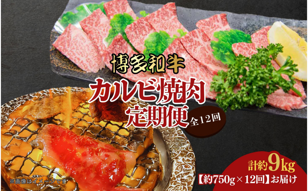 博多和牛 カルビ焼肉(バラ)定期便全12回(約750g×12回)