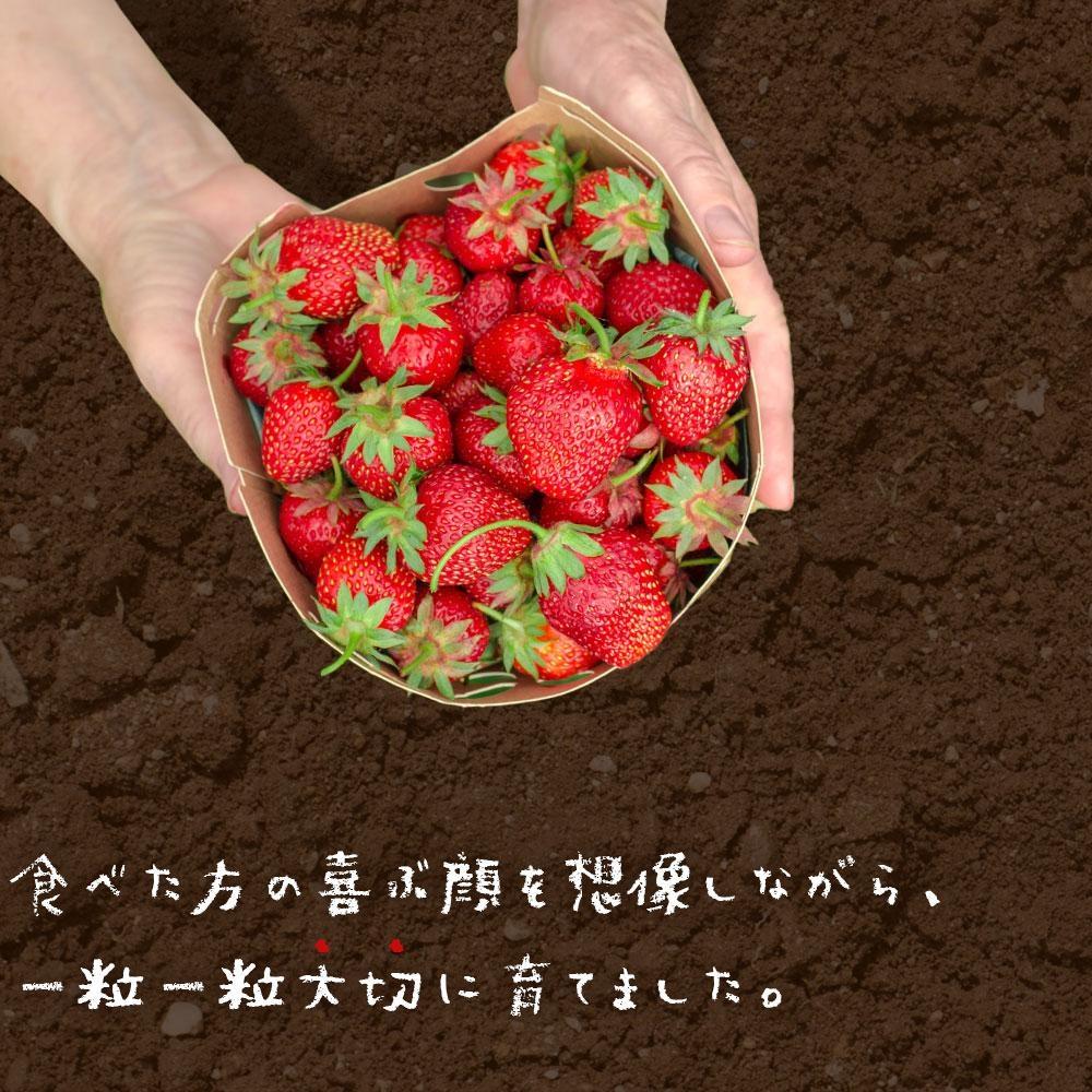 ※受付停止※あかい・まるい・おおきい・うまい「博多あまおう」の冷凍あまおう　合計3kg
