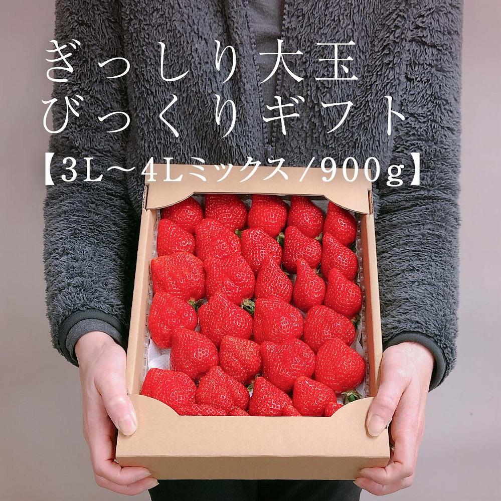 【2026年1月～4月出荷分予約販売】★身近な人間関係のお祝いに★「完熟あまおう」3L～4Lミックス詰め合わせ 900g入り