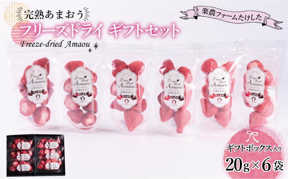 形も味もそのまま楽しめる！完熟あまおう【フリーズドライギフトセット】 (20g×6袋)