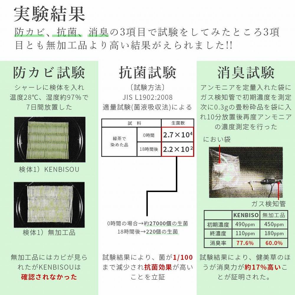 い草玄関マット　DXリーフ　67×90　ベージュ