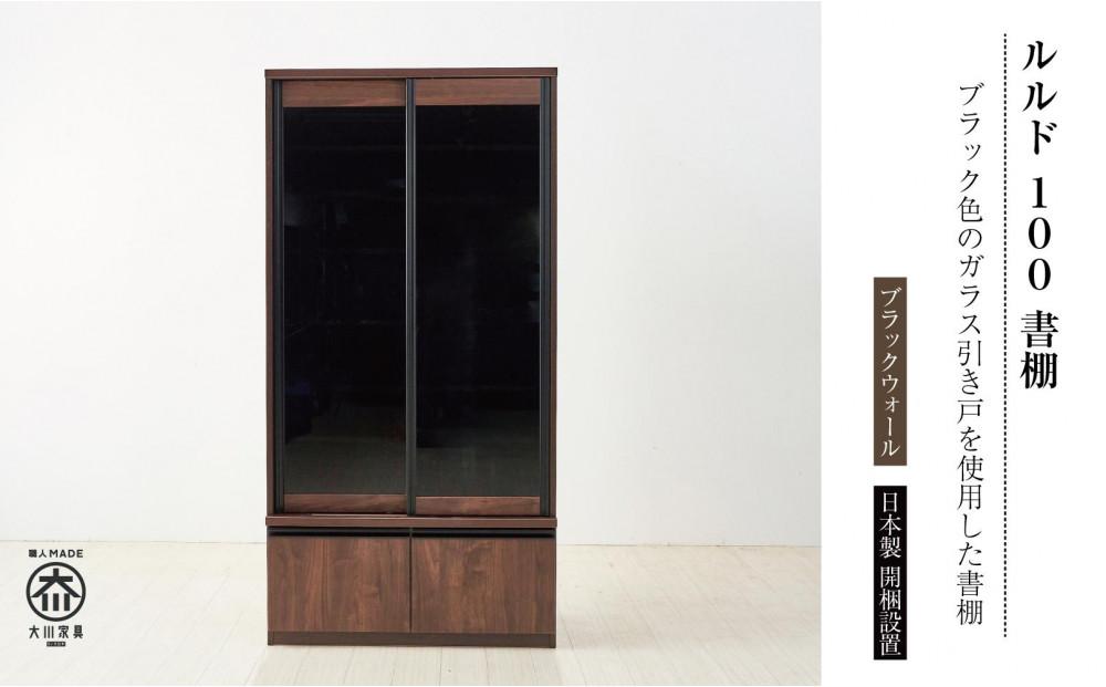 ルルド 100 書棚