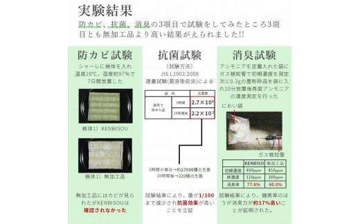 い草玄関マット DXリーフ ベージュ 67×120