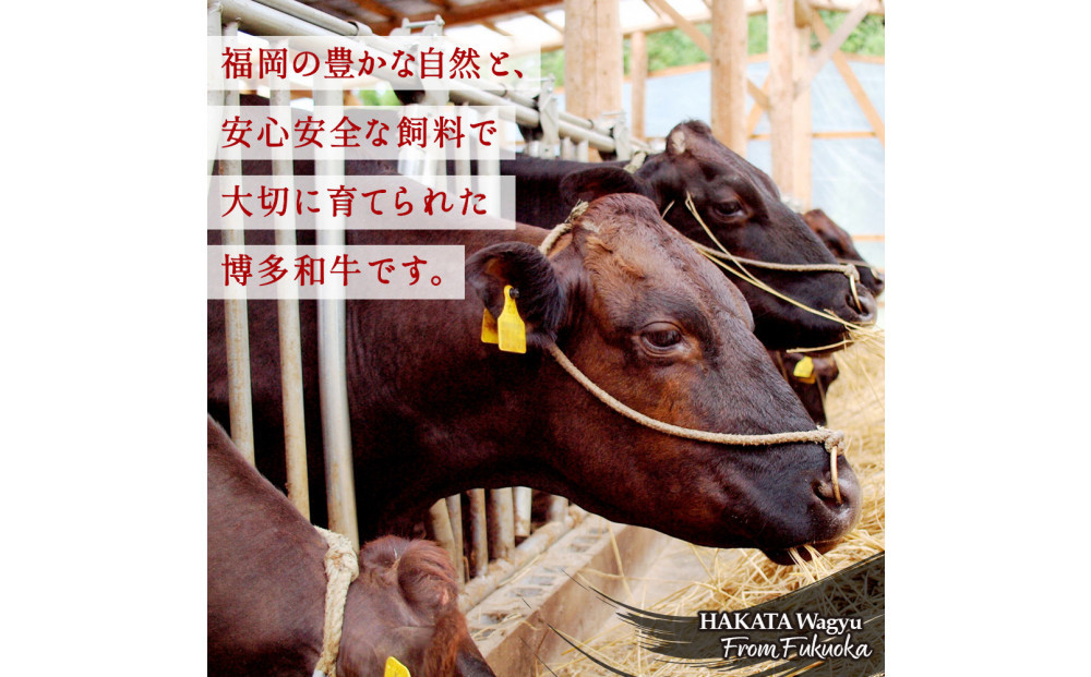 博多和牛 厳選定期便全6回