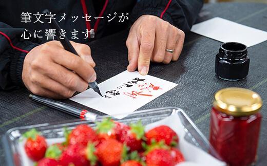 【2027年1月～4月出荷分予約販売】★開けてびっくり★驚きのボリューム完熟あまおう大玉詰め合わせ1200g