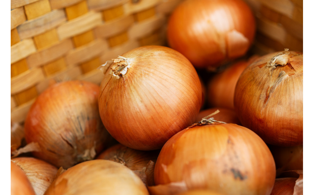 çŒãåž«ãããçŒããä¹å·ãã³ããŒã° ã»ãžã£ãããœãŒã¹ä»ã (4åå
¥ã)