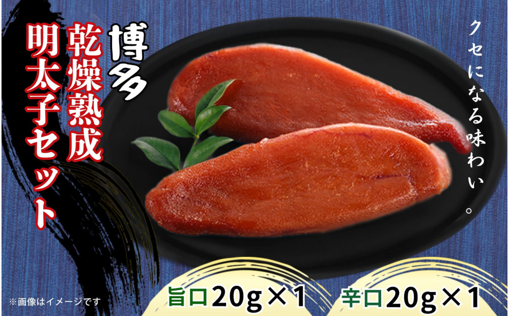 蜊壼、壻ケセ辯・辭滓先主、ェ蟄撰シ域葎蜿」繝サ霎帛哨シ峨そ繝繝