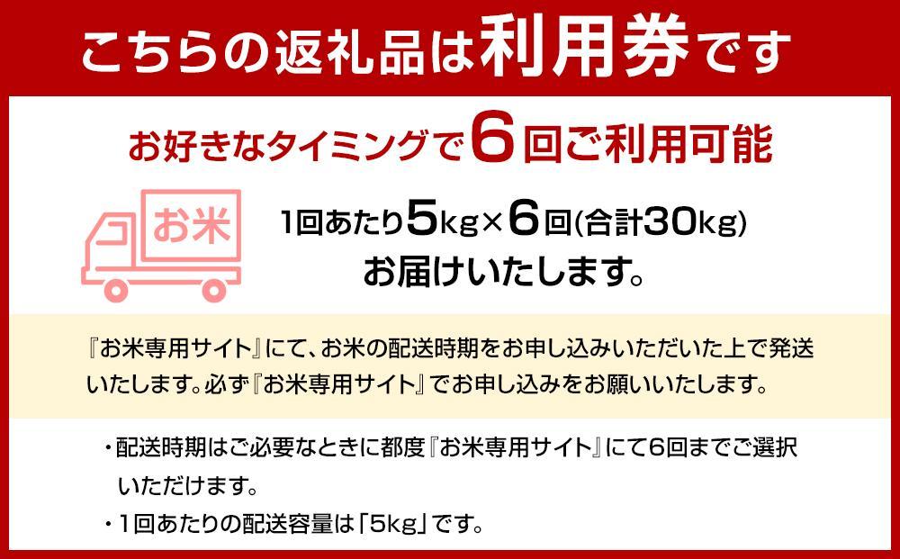 【福岡県産元気つくしをお届け】ふるさと納税 らくらくお米便 30kgコース