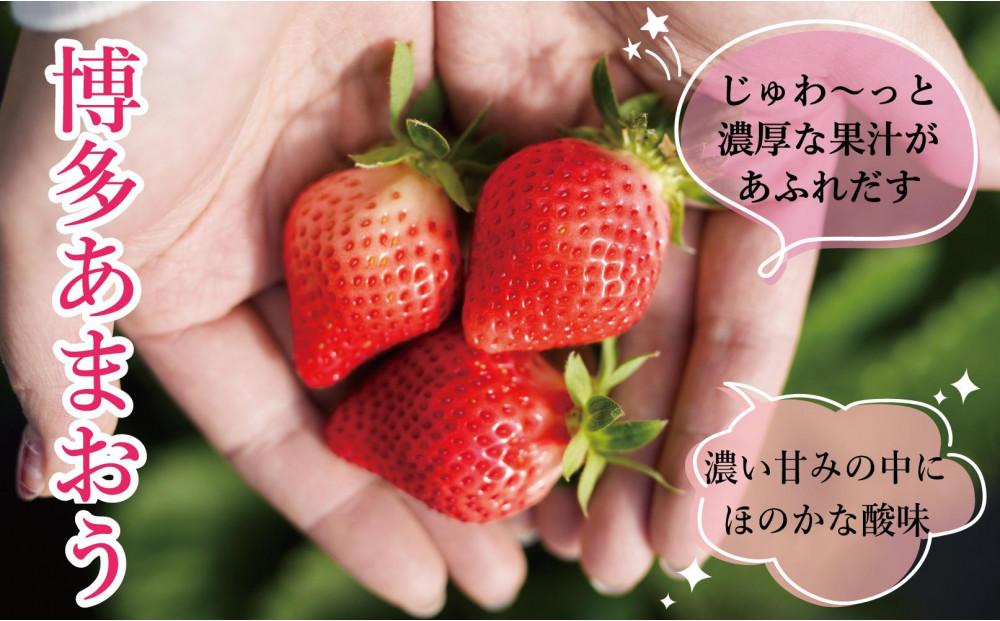 ★先行予約★いちごの王様 福岡県産博多あまおう250g×4パック【2027年2月中旬～3月順次出荷予定】