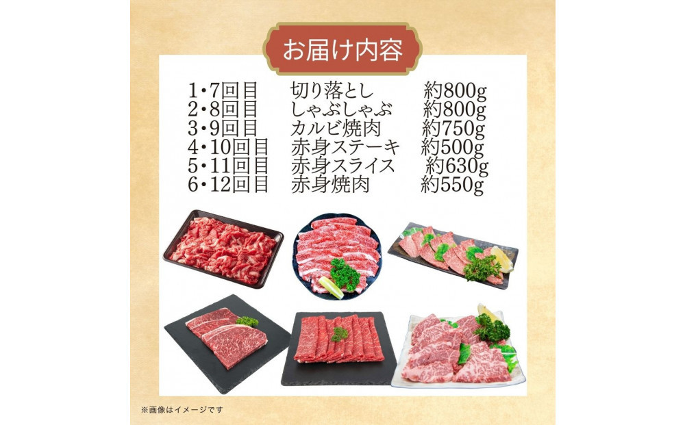 博多和牛 厳選定期便全12回