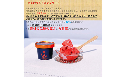 武下さんちのあまおうジェラート56％ 6カップギフト 濃厚なのに後味さっぱり！ ご家族様3，4名様向け