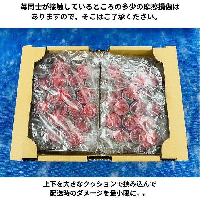 ã2026幎1æïœ4æåºè·åäºçŽè²©å£²ãããªã¥ãŒã æºç¹ãŠããçã500gÃ2ããã¯ïŒå®çããŸããæ¥æ¿ããã»ãã1000g