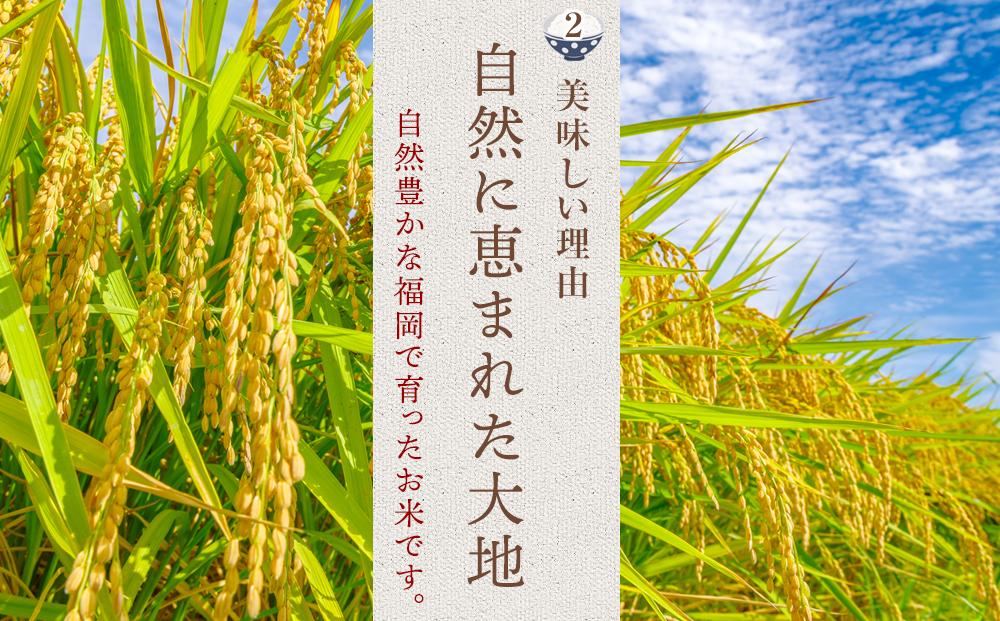 縲蝉サ、蜥7蟷エ逕」縲醍ヲ丞イ。逵檎肇 邀ウ 螟「縺、縺上@ 5kg (1陲 )