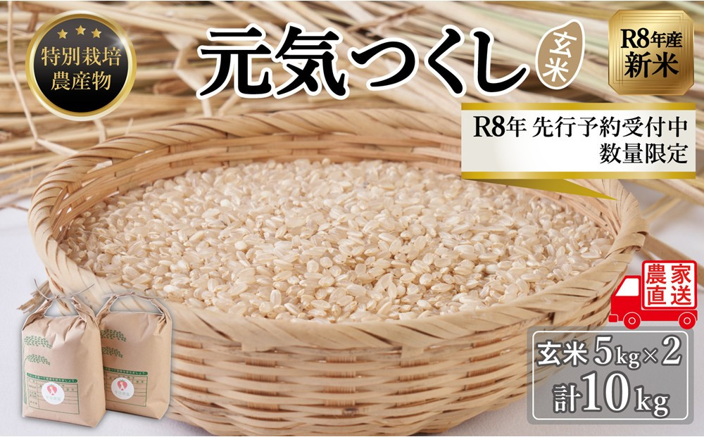 【令和8年度新米】先行予約受付 数量限定 玄米(特別栽培農産物)元気つくし 5kg×2袋 (計10kg)