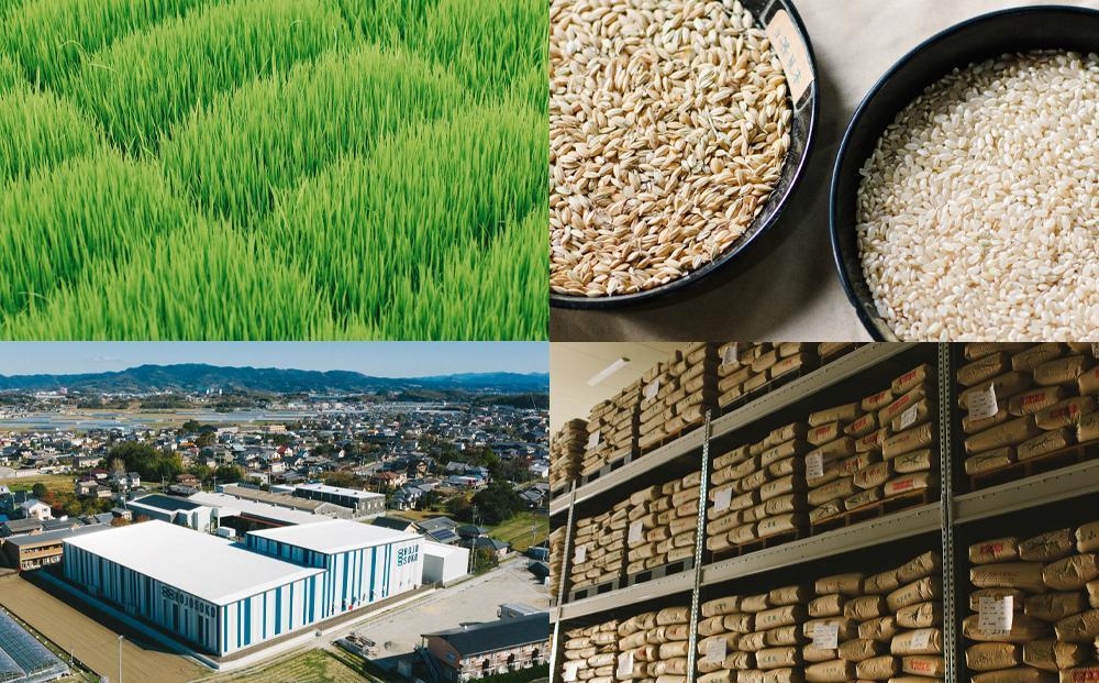 ãçŠå²¡çç£å€¢ã€ããããå±ãããµãããšçŽçš ããããã米䟿 60kgã³ãŒã¹