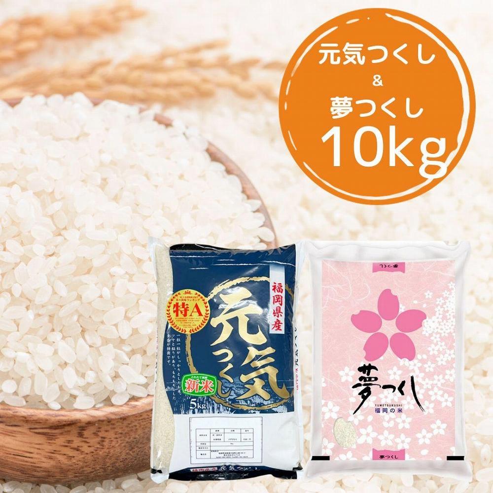 【令和7年産】福岡県産米食べ比べ＜白米＞セット「夢つくし」と「元気つくし」2種類 計10kg