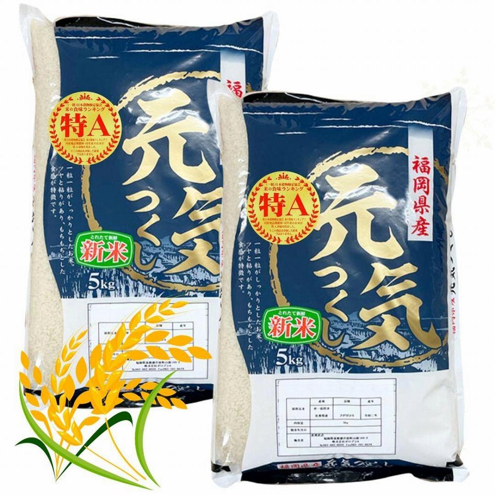 【令和7年産】福岡県産ブランド米「元気つくし」白米 10kg