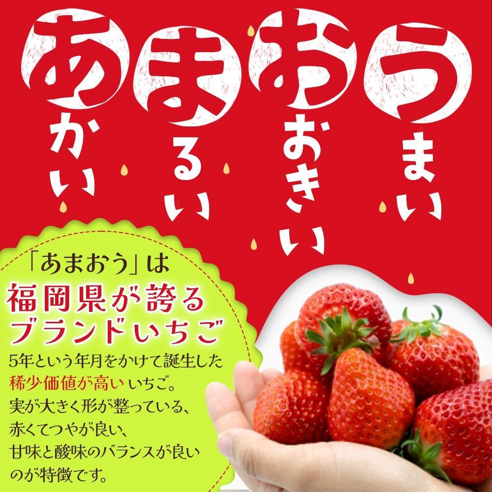 ※受付停止※あかい・まるい・おおきい・うまい「博多あまおう」の冷凍あまおう　合計1.5kg