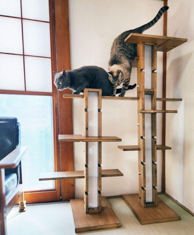 譁ー諡。蠑オ蝙九く繝」繝繝医ち繝ッ繝シ necosuru cat branch縲舌リ繝√Η繝ゥ繝ォ縲