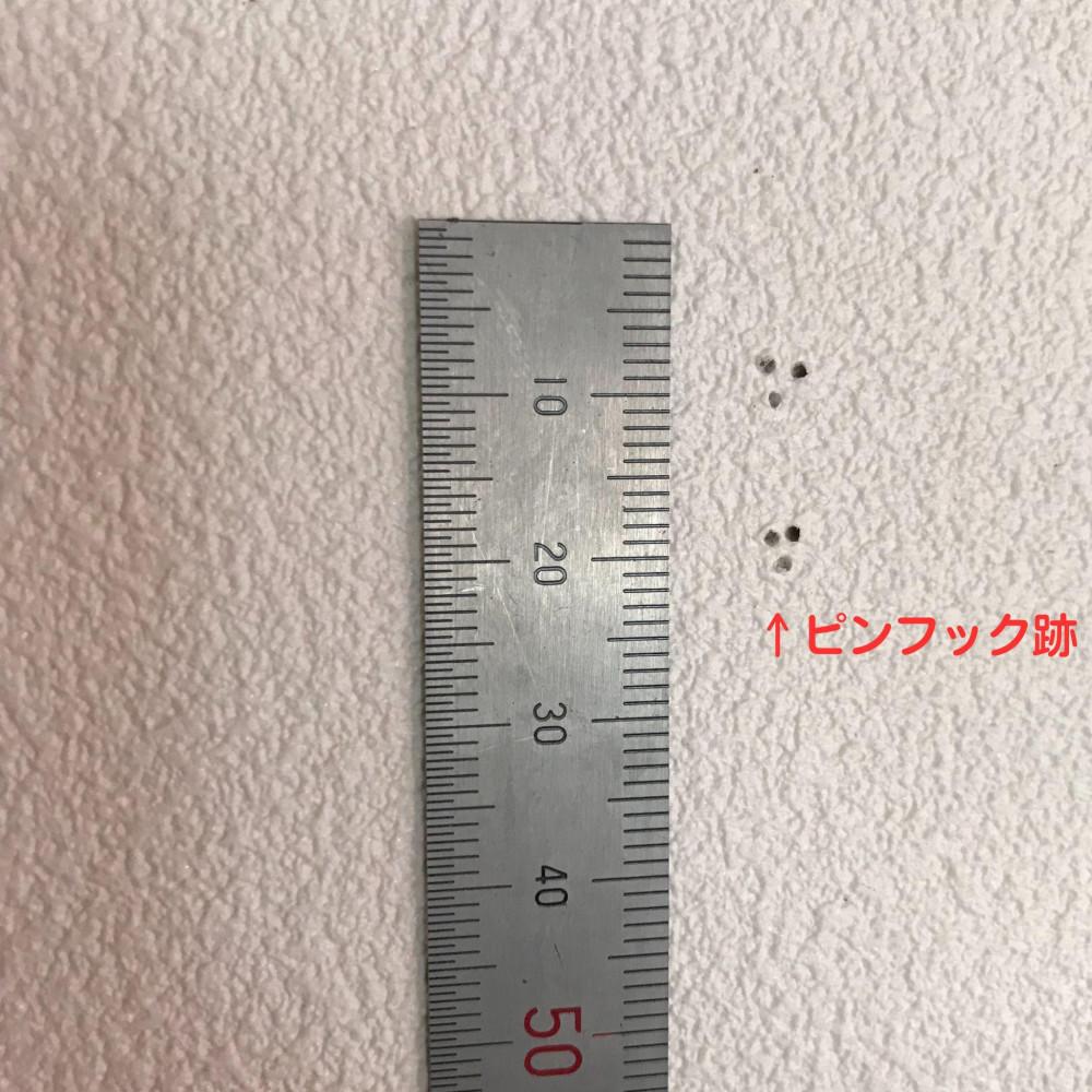 ããŠã©ãŒã«ã·ã§ã«ãã»ã©ããŒïŒå£ã«åãä»ãã(åŒã£æãã)å®¶å
· å¯åæ£ãæ£ å¯åæ£ ã·ã§ã«ã ãŠã©ãŒã«ã·ã§ã«ã ã©ã㯠ãŠã©ãŒã«ã©ã㯠ãã§ãªãŒ 壿ã 壿ãåçŽ ç³èããŒã è³è²ž ã©ãã§ã nove