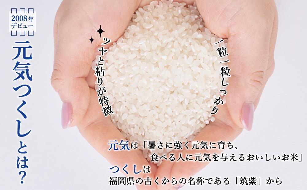 ã什å8幎床æ°ç±³ãå
è¡äºçŽåä» æ°ééå® çç±³(ç¹å¥æ œå¹èŸ²ç£ç©)å
æ°ã€ãã 2kgÃ5è¢ (èš10kg)