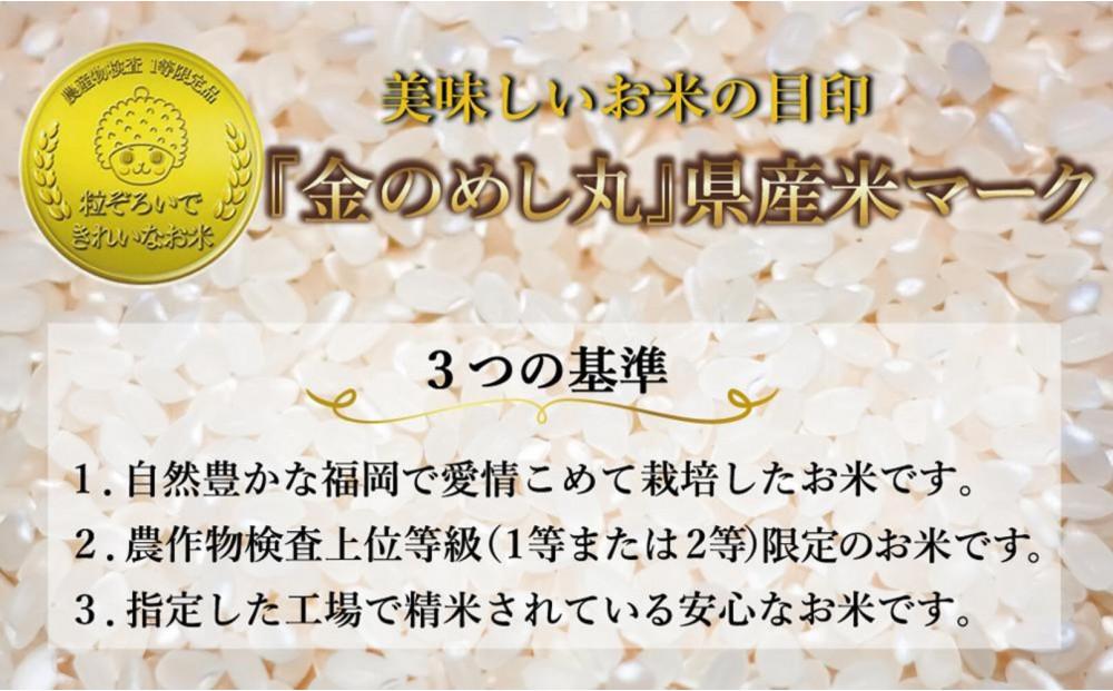 ＜全3回定期便＞令和7年米 福岡県産 米 金のめし丸元気つくし 5kg