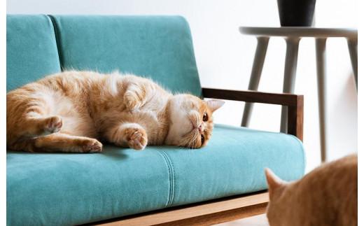 ãRONRONNERãCLANK ãã³ãœãã¡ïŒããŒãã¡ãŒãã«ïŒ