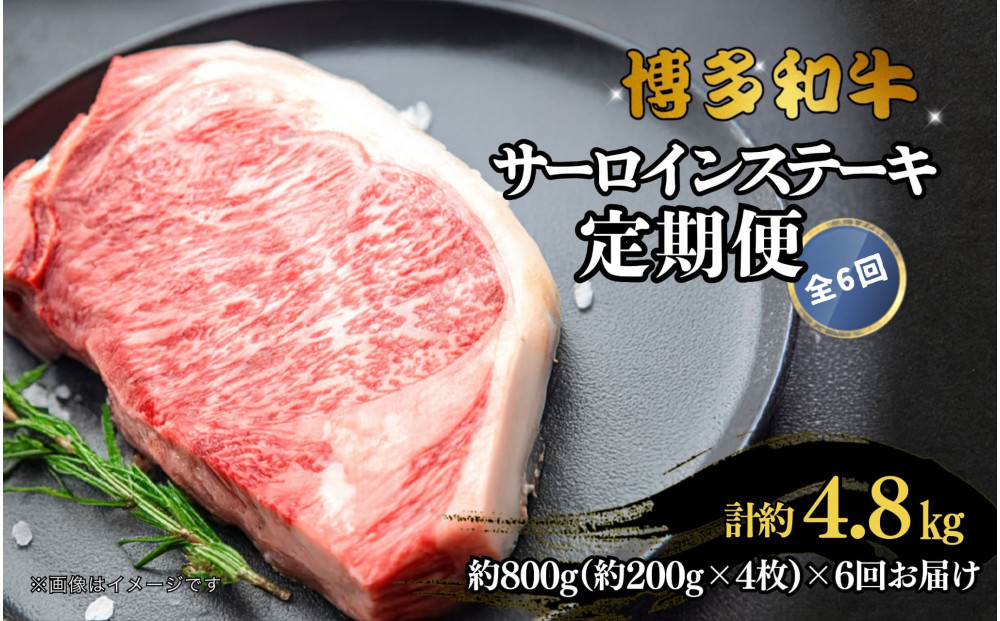 博多和牛 サーロインステーキ 定期便全6回 計約4.8kg(約800g(約200g×4枚)×6回)