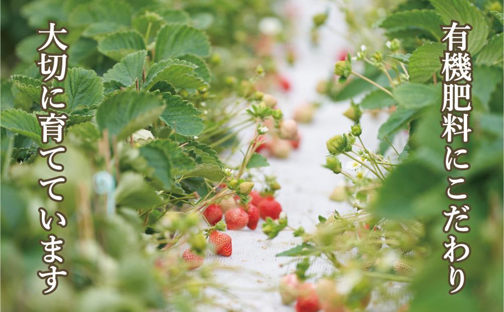 【2026年2月1日～4月30日までに発送！】有機肥料にこだわったたっちゃん家の完熟あまおう（270g×4パック）【配送不可地域：北海道・沖縄・離島】