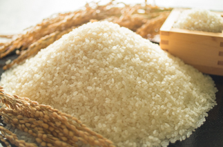 2024年秋収穫分 福岡県大川市産ヒノヒカリ 5kg【ギフト包装】