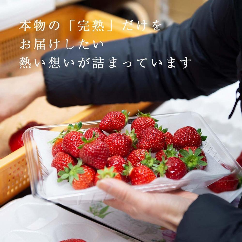 【2026年1月～4月出荷分予約販売】★たっぷり1000g！★ミニサイズの「完熟あまおう」セット