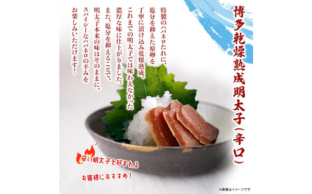 蜊壼、壻ケセ辯・辭滓先主、ェ蟄撰シ域葎蜿」繝サ霎帛哨シ峨そ繝繝