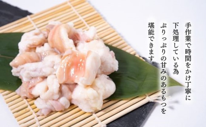 もつ鍋 老舗人気店 博多本格もつ鍋 セット 2～3人前×2セット 鍋 モツ 国産牛もつ もつ 牛肉 肉 お肉 ※配送不可:離島 