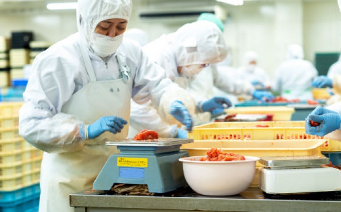 明太子 丹念仕立て 蔵出し 辛子明太子 木樽入り 550g めんたいこ 魚卵 さかえや 