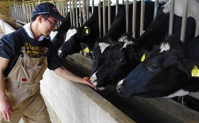 繧「繧、繧ケ繧ッ繝ェ繝シ繝 縺ゅ∪縺翫≧ 逕倬 6蛟 繧サ繝繝 繝斐Α繝ォ繝サ繧ェ繝ォ繝壹Α 遖丞イ。迚ケ逕」 縺縺。縺 逕倬 繧「繧、繧ケ 繝繧カ繝シ繝 繧ケ繧、繝シ繝 驟埼∽ク榊庄シ壽イ也ク縲髮「蟲カ
