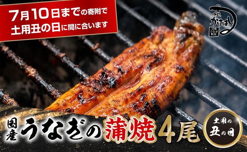 昭和52年創業の味 手焼き 国産 うなぎ 蒲焼き 4尾 1尾あたり 200～300g 国産 鰻 美味しい 職人仕上げ ふっくら肉厚 タレ付き 冷凍発送 土用丑の日 ギフト 贈答用 お取り寄せ グルメ ご飯のお供 九州 福岡 老舗の味