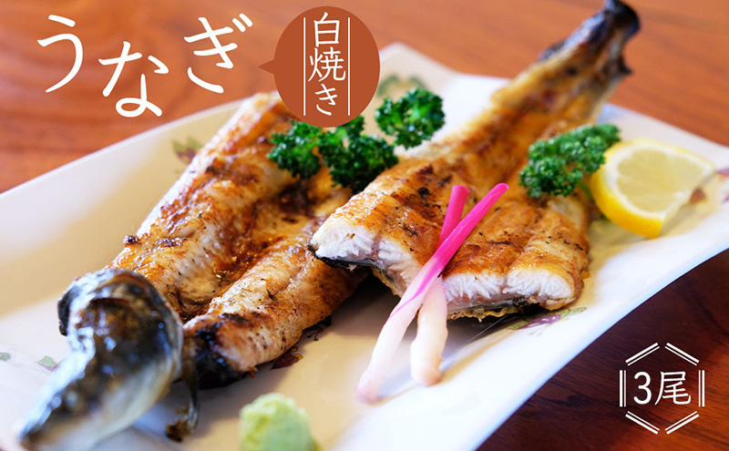 かけはし 創業40年 全てが職人による手焼き うなぎの白焼き 3尾 鰻